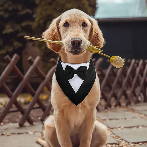 Pañuelo Suave Para Perro, Pañuelo Ajustable Con Forma Triang