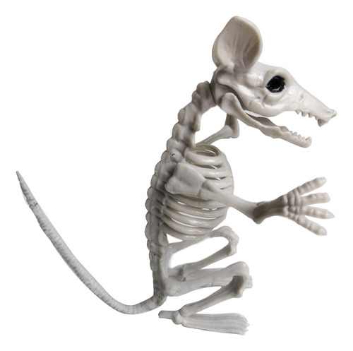 F Animal Skeleton Bones Para La Simulación De Terror De Hall