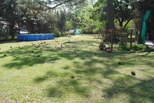 Casa En Venta En Roldan Centro Gran Jardin.
