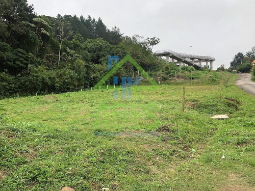Imagem 1 de 4 de Terreno - Te00002 - 68176979