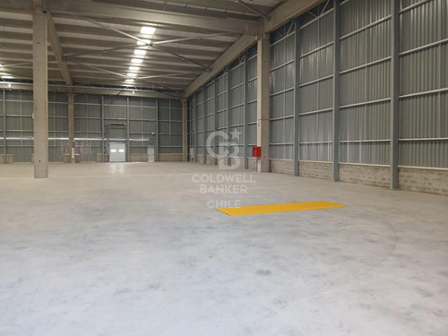 Bodegas Nuevas Clase A En Centro De Distribución
