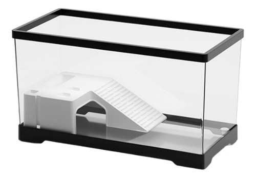 Tanque De Tortugas, Acuario, Hábitat De Grande Negro