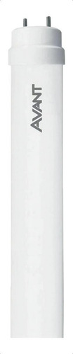 Lampada Led Tubular T8 18w 6500k 1850lm 127/220V Avant Cor da luz Branco-frio