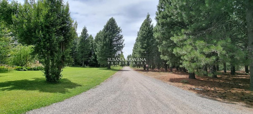 Lote En Venta En El Pegual
