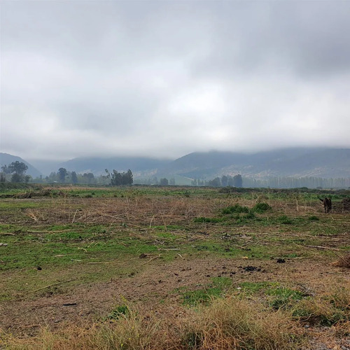 Terreno Construccion  En Venta En San Fernando