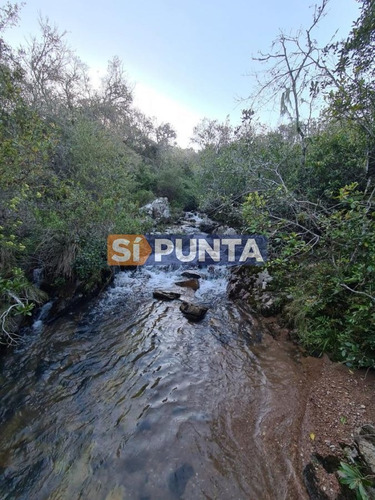 Imagen 17 de 22 de Fraccionamiento Zona: Ruta 109 Arroyo Valdivias