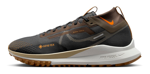 Zapatillas Nike Pegasus Trail 4 Gore-tex Fd5841-001   