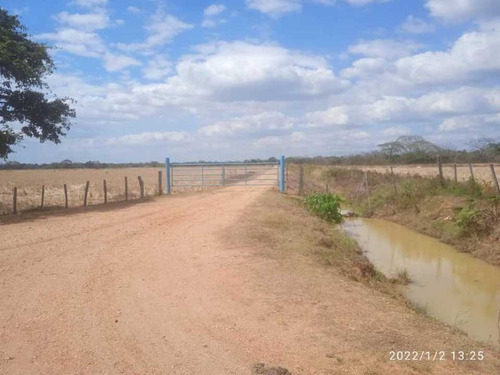 Imagen 26 de 28 de Finca En Venta Guarico