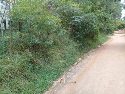 Imagem 4 de 13 de Terreno Para Investidor À Venda - 3.716,00m2 - Te0205-1