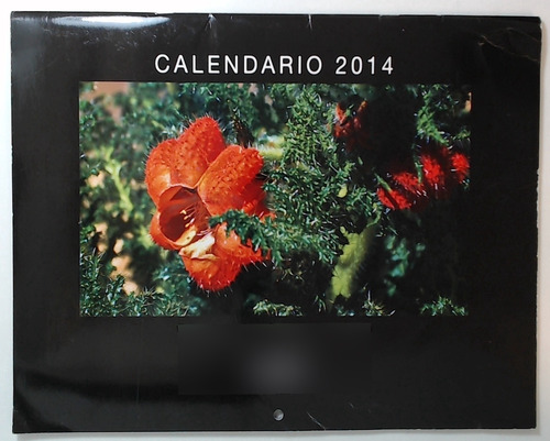 Calendario 2014 - De Rosso, Ana