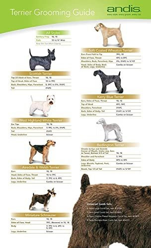 Imagen 4 de 5 de Cuchilla Andis Nº40 Ceramic Edge. Est. Canina - Desmontable