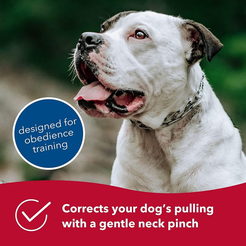 Sprenger Collar De Adiestramiento Para Perros Con PĂșas 56 Cm