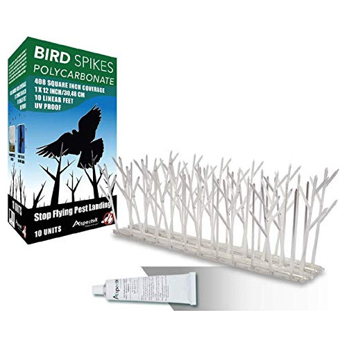 Plastic Polycarbonate Bird Spikes Kit With Adhesive Glu...