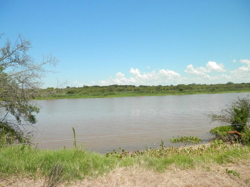Estancia Isla Vizcaino 1569ha Ganadero Agricola Rio Negro Y Rio Uruguay