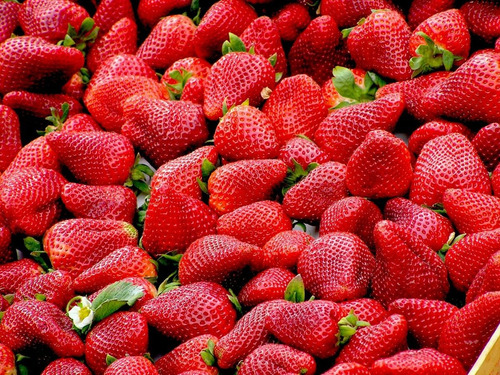 Aceite Esencial Moras Y Fresas Silce, Un Deleite De Frescura