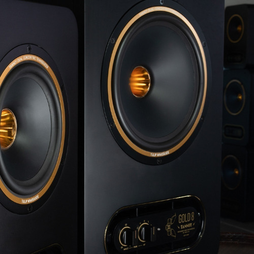 Monitor De Estudio Tannoy Gold 8 Coaxial 8 Bi-amp 300w