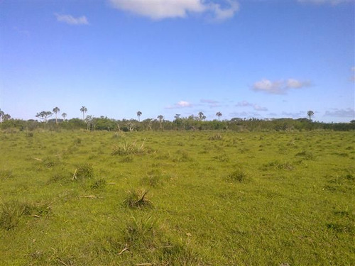 Campo En Venta En Castillos (ref: Atm-4276)