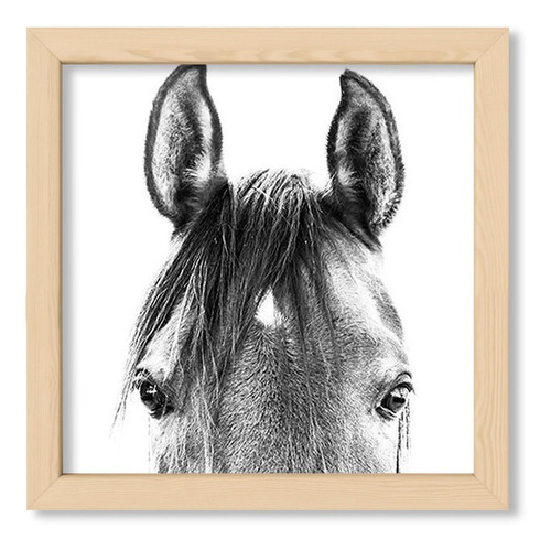 Cuadros Modernos 20x20 Chato Natural Black And White Horse