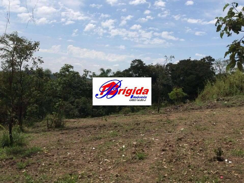 Imagem 8 de 13 de Lotes Residenciais De 125,00 M² (cada Lote) , Próximos Ao Centro De Cotia - 816m