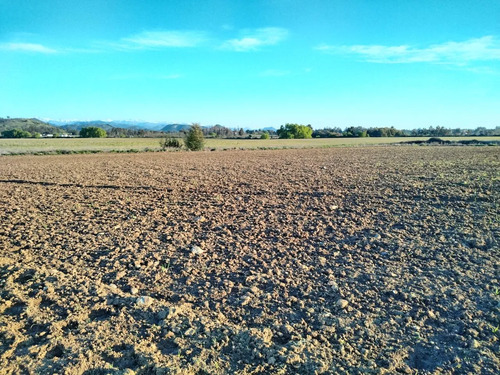 Terreno Agrícola De 33,5 Ha - Campo En Venta, San Clemente