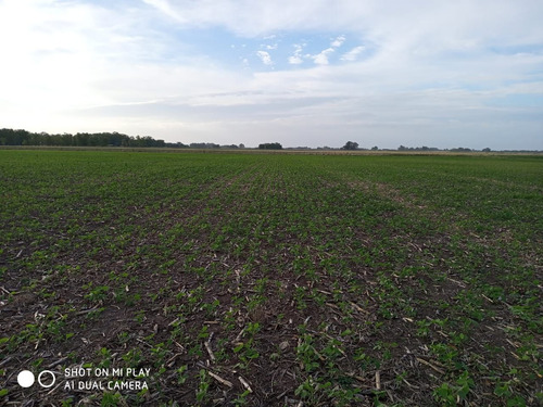 Imagen 5 de 7 de Campo En Venta En Lobos