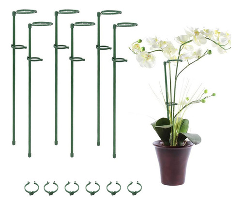 Estacas De Soporte Para Flores, Paquete De 6/12 Plantas Ajus