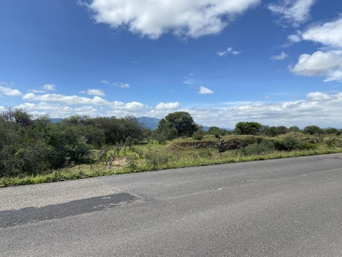 Imagen 4 de 6 de Terreno Comercial En Venta El Sauz