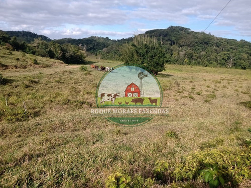 Imagem 15 de 20 de Fazenda À Venda Com 80 Alqueires Paulista No Vale Do Ribeira-sp Ref.: 0858