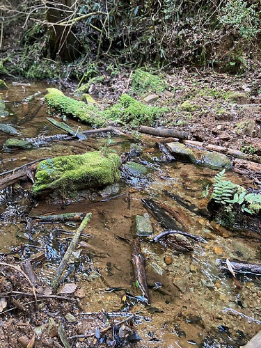 Parcela De 5,94 Hectáreas Comuna Loncoche