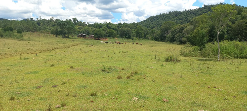 Chacra 100 Hectáreas