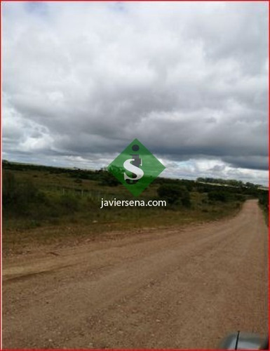 Venta De Campo En Treita Y Tres, 70 Hectareas Con Casa. - Ref: 168050