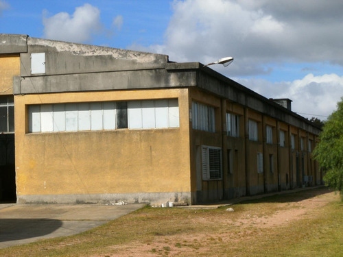 Imagen 8 de 8 de Alquiler Depósito Galpon Nave Industrial Barros Blancos