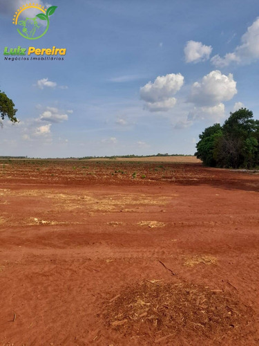 Imagem 10 de 15 de Fazenda À Venda Em Palmeiras - To - 1.297 Hectares (dupla Aptidão) - 1932