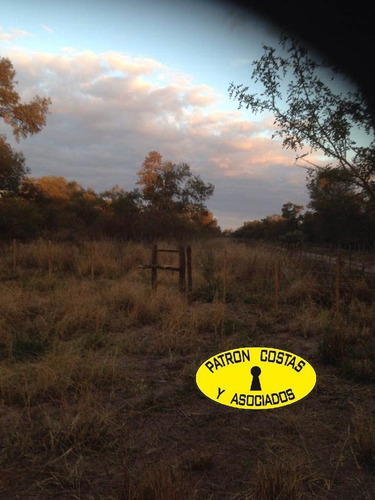 Imagen 4 de 13 de 0622hp-venta Campo Talavera Salta