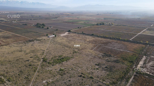 47 Hectareas De Campo Con Gran Frente En Ruta Nacional 40 (acceso Sur) Ugarteche Lujan De Cuyo