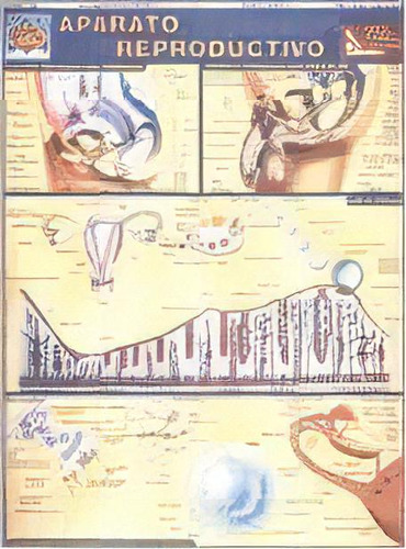 Aparato Reproductivo, De Barcharts. Editorial C.e.c.s.a., Tapa Blanda En Español