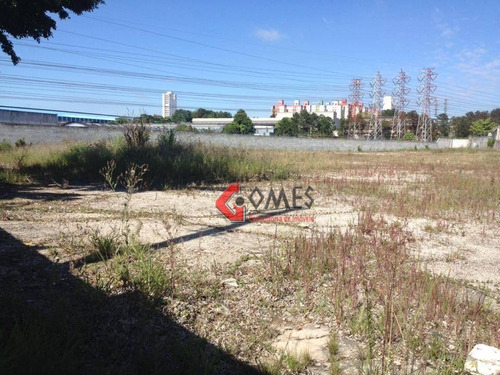 Imagem 1 de 14 de Terreno Para Alugar, 4400 M² Por R$ 27.000,00/mês - Vila Vivaldi - São Bernardo Do Campo/sp - Te0190