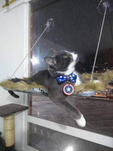 Hamacas De Ventana Para Gatos. Tela De Peluche - Miel Felina