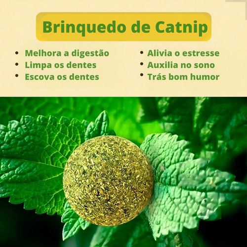 Bola Bolinha De Catnip Cat Nip Relaxante Para Gatos