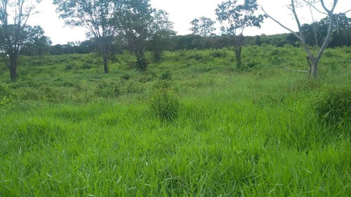 Fazenda De Gado E Graõ Com 455 Hectares Curvelo - 36426
