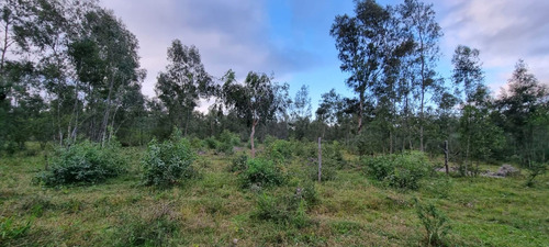 Venta Terreno En El Carril 600 M², San Antonio