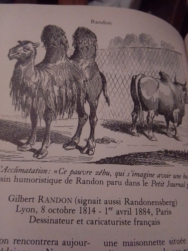 Libro Ilustraciones 1800-1914