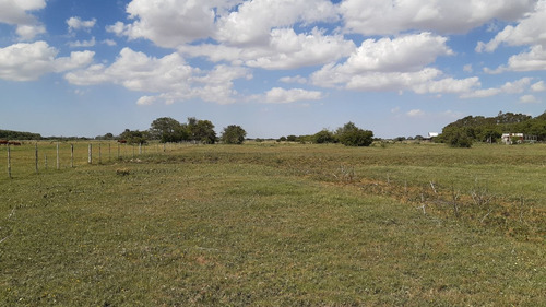 Imagen 5 de 15 de Lote En Punta Indio 52x50