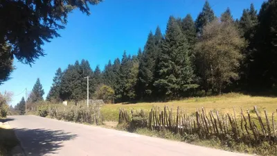 Terreno en venta
