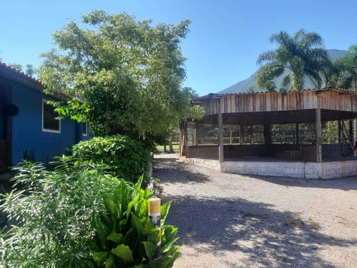 Imagem 4 de 13 de Chácara Em Guarda Do Cubatão, Palhoça/sc De 56m² 3 Quartos À Venda Por R$ 1.700.000,00 - Ch2330854-s