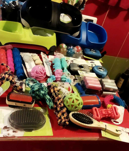 Lote 110 Piezas Accesorios Y Artículos Varios Para Perros 