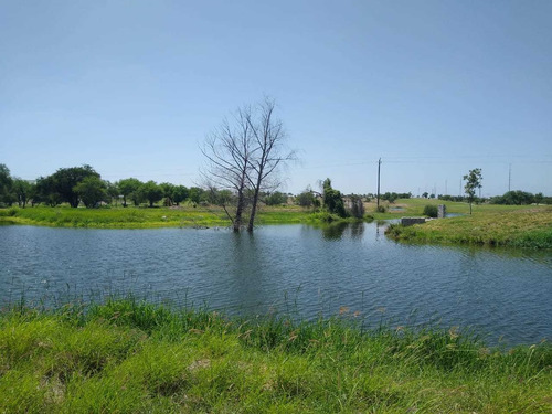 Imagen 2 de 8 de Terreno En Residencial Con Campo De Golf, Zona Aeropuerto
