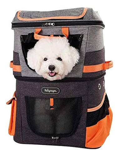 Dog And Carrier With Double Decker Compartment Jetpaw 2 Comp