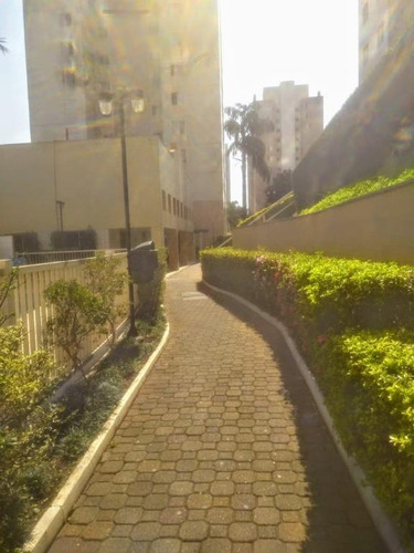 Imagem 28 de 30 de Apto Na Vila Matilde Com 3 Dorms, 1 Vaga, 59m² - Ap13846