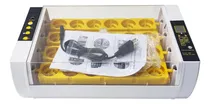 Comprar Preasion Incubadora De Huevos De 110v 24 Incubadora Automáti